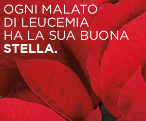 Stelle di Natale Ail