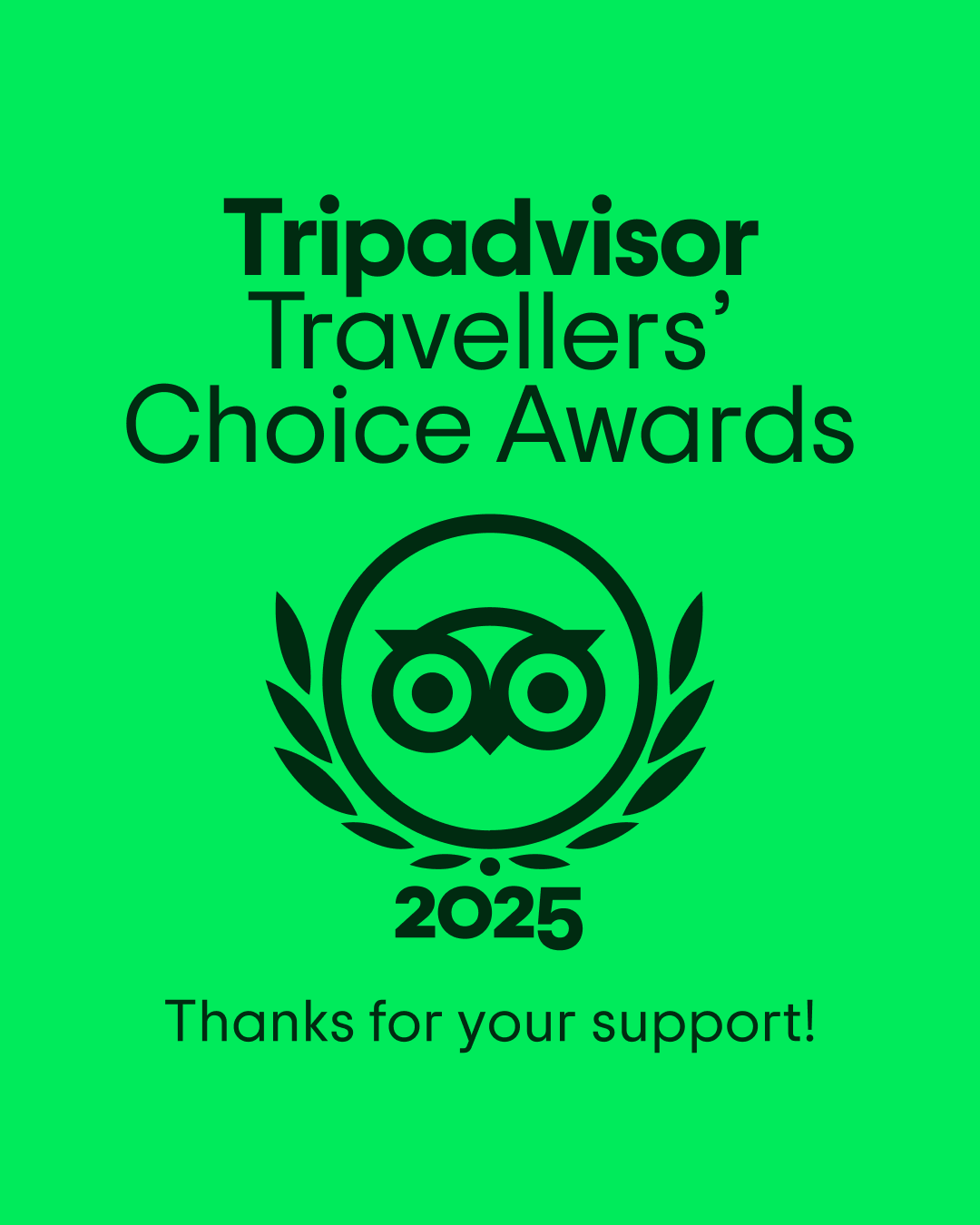 Travellers’ Choice 2025<